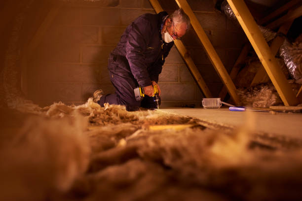 Best Insulation Maintenance and Repair in Potosi, MO